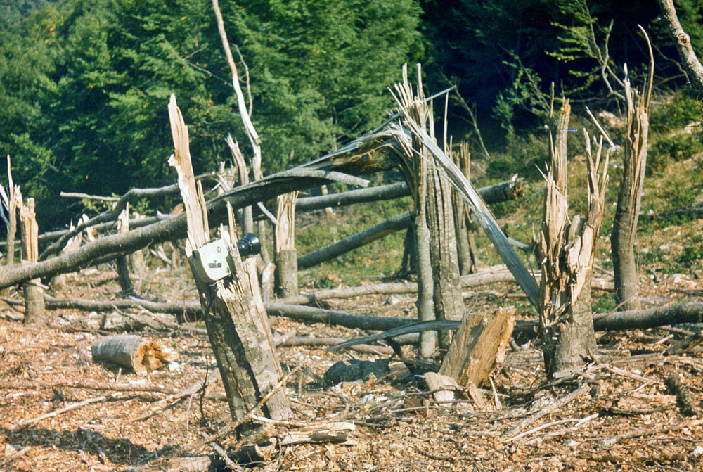Зона транзиту лавини в АР Крим